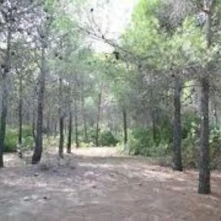 Complesso I Giardini Elisei פוליקורו