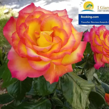 I Giardini Elisei Holiday park 2*