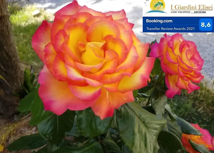 I Giardini Elisei Holiday park 2*